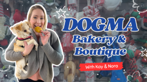 Holiday Pet Gifts in Arlington: A Look Inside Dogma Bakery in Shirlington